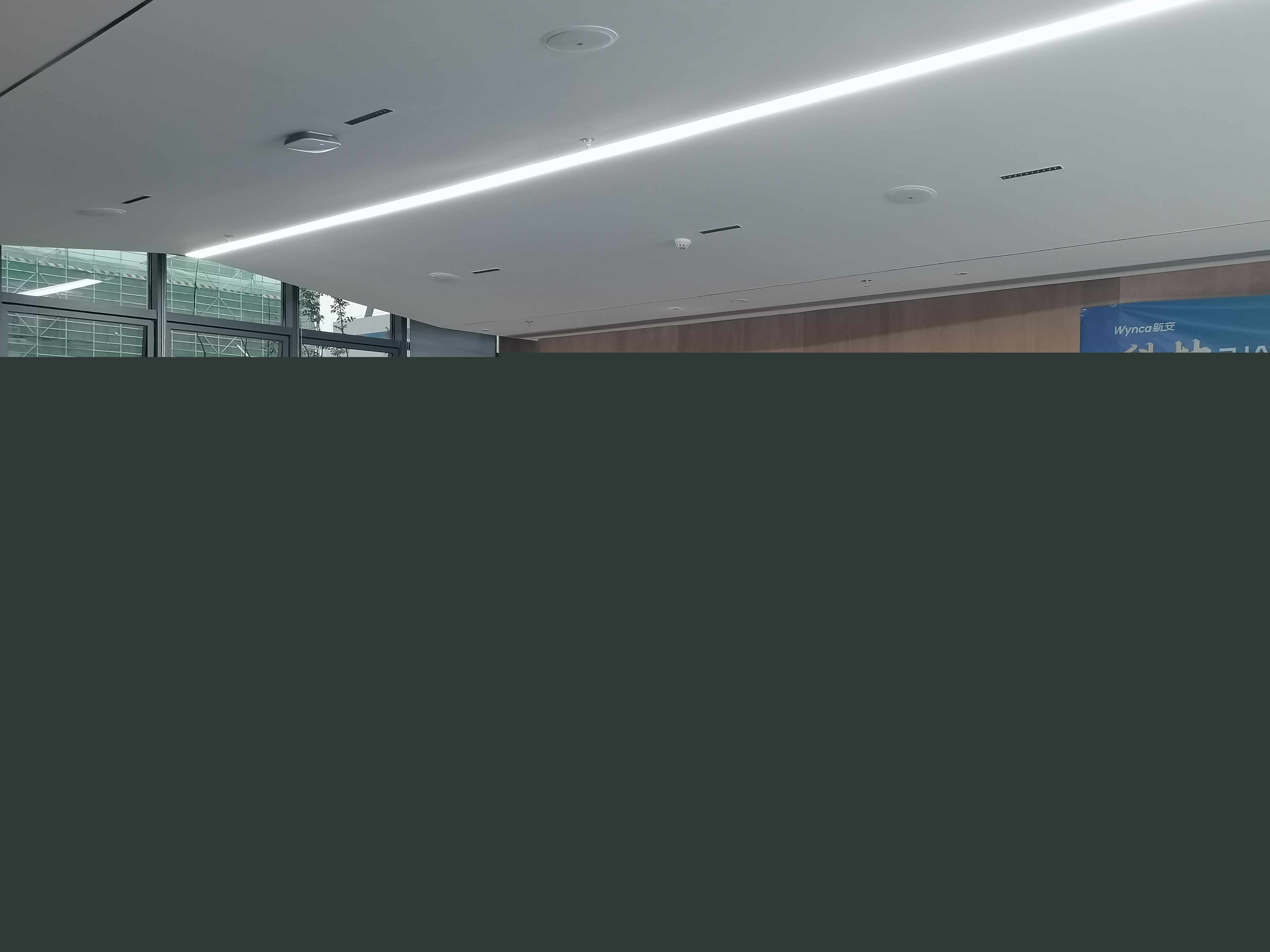 1701311699624972SkPs.jpg